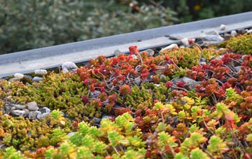 the cost of Abbey green roof installation